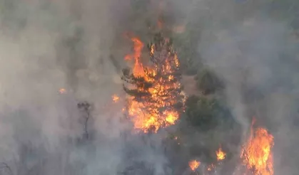 Çanakkale'deki korkunç orman yangınına müdahale ediliyor