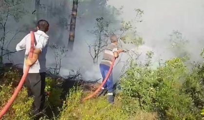 Sakarya'daki yangına havadan ve karadan müdahale