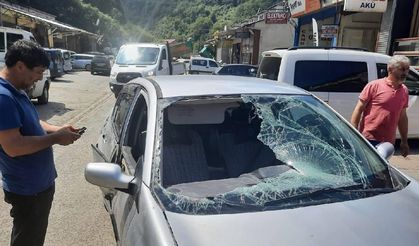 Trabzon Şalpazarı'nda ayı otomobili parçaladı