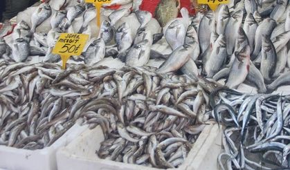 Tezgahlar mezgit ve istavritle doldu taştı: Balık fiyatları el yakıyor