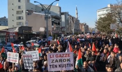 Erciş’te Filistin yürüyüşü