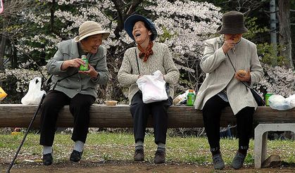 Japonların ömür uzatan reçetesi: Günde 1 tane yemek beyni dipdiri yapıyor! Uzun yaşamın sırrı o besinde gizli