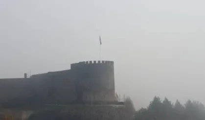 Diyarbakır'da sis engeli: Uçak seferleri iptal edildi