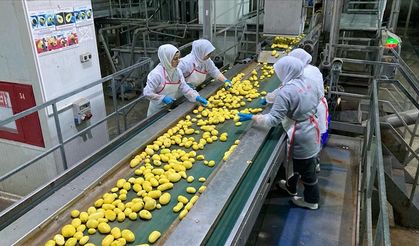 Patates severlerin dikkatine: İşlenmiş patatesi ihraç edip kabuklarından elektrik üretiyorlar
