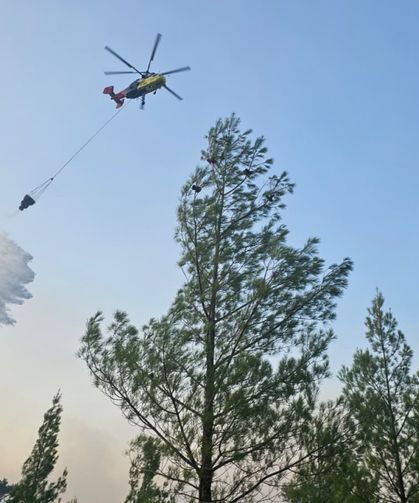 Denizli'nin Acıpayam ilçesinde çıkan orman yangını kontrol altına alındı