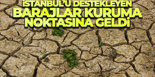 Yetersiz yağmur yüzünden İstanbul'u besleyen barajlar kuruyor