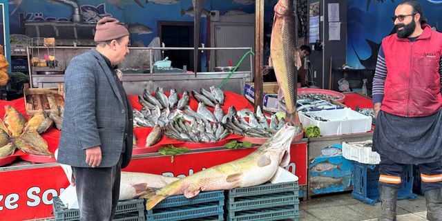 Elazığ'da tezgahlarda balık bolluğu yaşanıyor