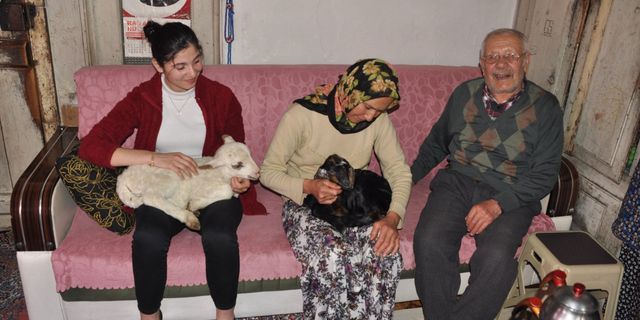 Ailenin yeni üyeleri: Kuzu ile oğlak