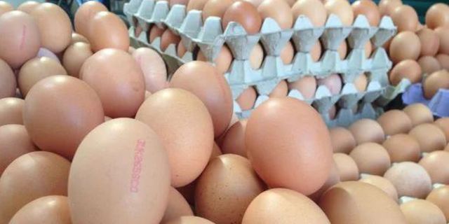 Organik diye satılan yumurtanın çoğu sahte