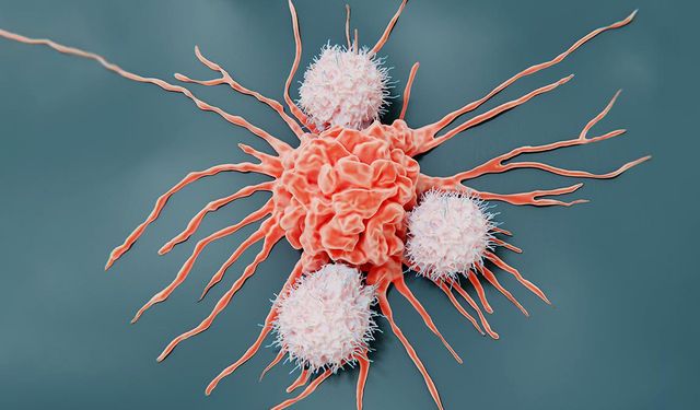 Dünya kanser raporu: En sık görülen türler ve önleme yolları
