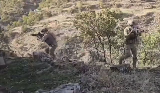 Erzincan'da 1'i yeşil ve 1'i gri kategoride 2 PKK'lı etkisiz hale getirildi