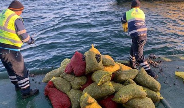 İstanbul'da polis 4 ton kaçak midye ele geçirdi