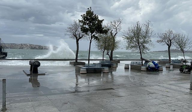 İstanbul'daki lodostan kaçan martılar Kazlıçeşme'ye sığındı