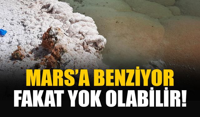 Mars’a benzeyen ekosistem keşfedildi: Madencilik yok edebilir!