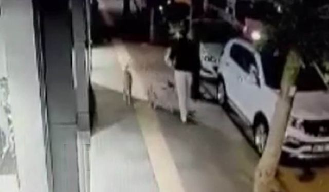 Ankara'da sokak köpeği genç adamı böyle ısırdı-İzle