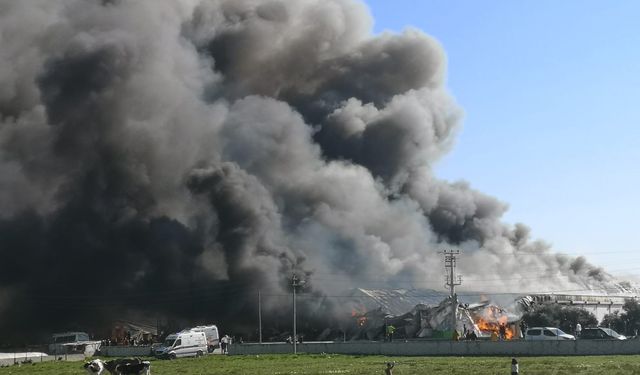Mersin’de narenciye paketleme tesisi alev alev yandı