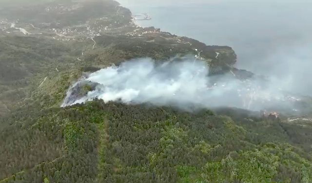 Kastamonu'da orman yangını: Ekipler mücadeleyi sürdürüyor!