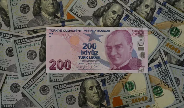 IMF'den Türkiye için enflasyon tahmini: 'Dolar 99 TL'yi aşabilir'