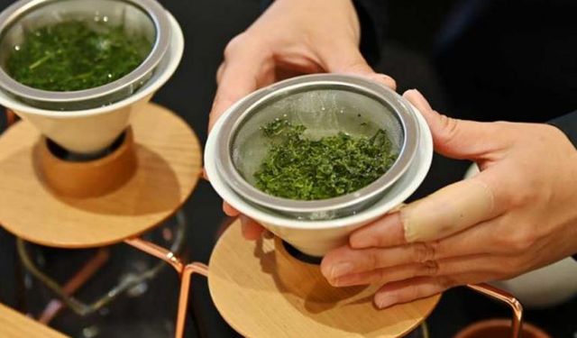 Japonya'da ilk hasat yeşil çayın kilogramı rekor fiyata satıldı