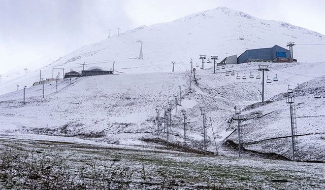 Van'da kar yağışı etkili oldu