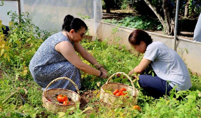 Adana’da ruh sağlığı tedavisi görenler tarımla terapi görüyor