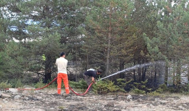 Bolu'da ormanlık alanda çıkan yangın söndürüldü