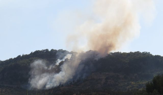 Çanakkale'nin Ayvacık ilçesinde çıkan orman yangını kontrol altına alındı