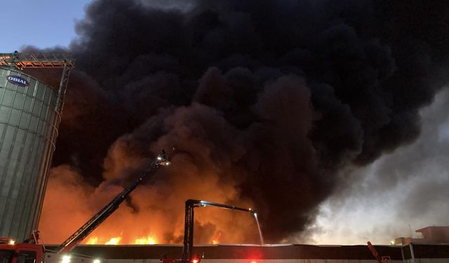 Gaziantep'te halı fabrikasında çıkan yangına müdahale edildi