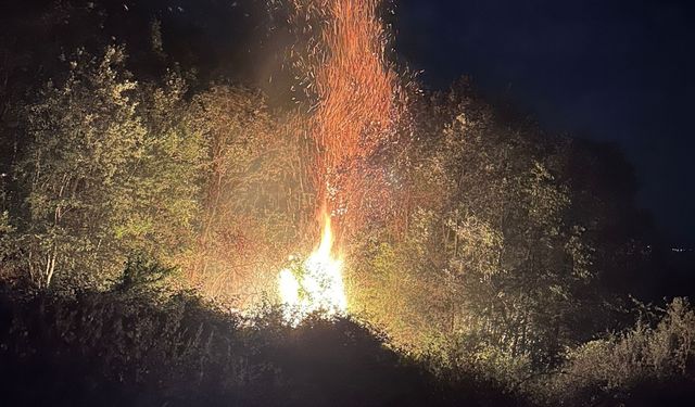 Tokat Niksar'da çıkan orman yangını söndürüldü