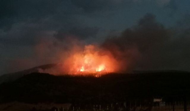 Tokat'ta ormanlık alanda çıkan yangın söndürüldü