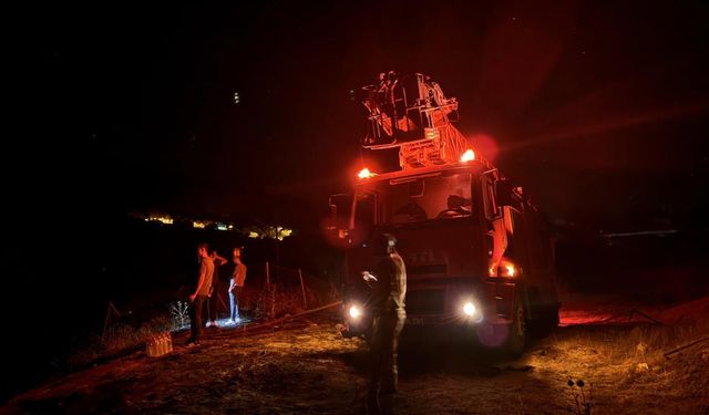 Tunceli'de ormanlık alanda çıkan yangın söndürüldü