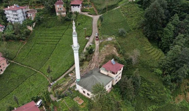 800 yıllık camiyi kurtarmak için çevresindeki ağaçları kestiler