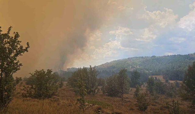 Ankara’da başlayan yangın Bolu’ya geçti