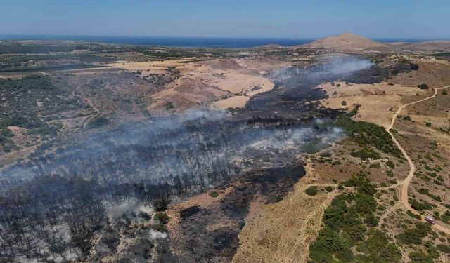 Bozcaada’daki orman yangını kontrol altına alındı