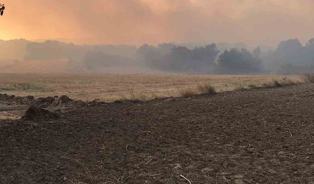 Bulgaristan sınırında çıkan yangın Edirne’nin köylerine dayandı