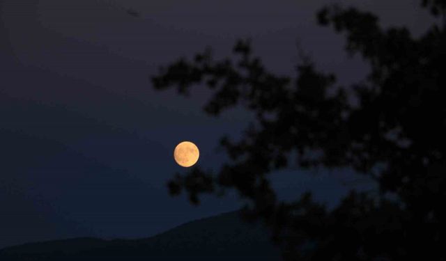 Ilgaz Dağı’nda mest eden dolunay manzarası