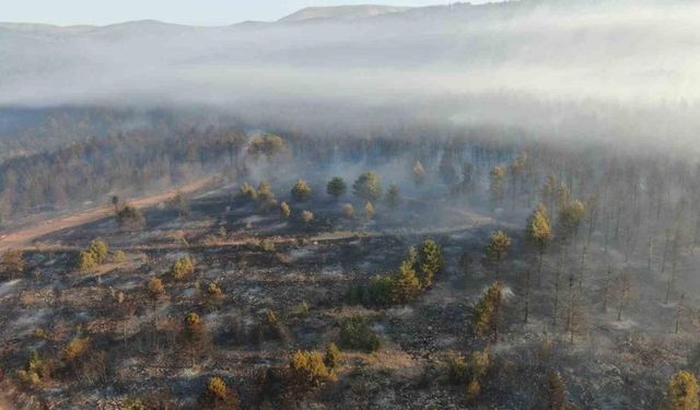 Ilgaz'daki orman yangınına müdahale sürüyor: 44,17 hektar alan zarar gördü