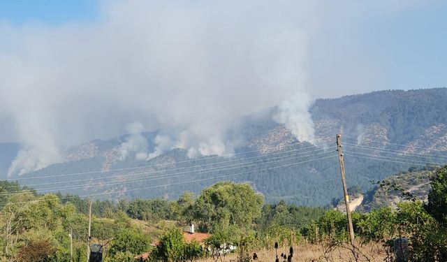 Orman yangınını söndürme çalışmaları sürüyor