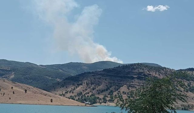 Tunceli’de orman yangını