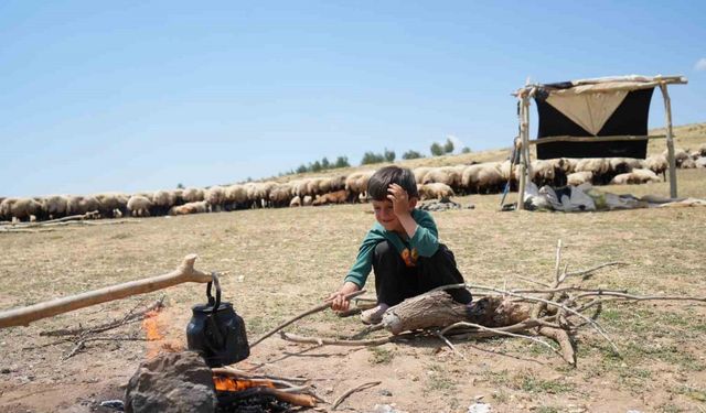 Yaylada yaşayan çocuklar yaz tatilinin keyfini çıkarıyor