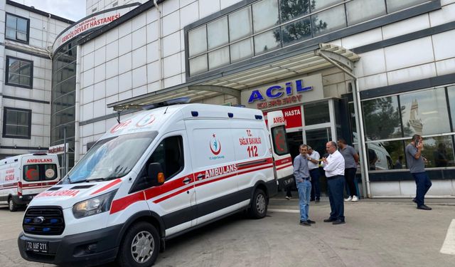 Yıldırım çarpan çiftçi ağır yaralandı: Eşeği de telef oldu