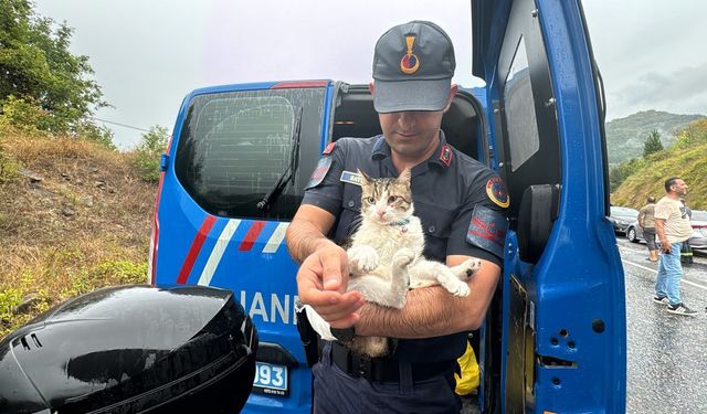 Zonguldak'ta otobüsle kamyonun çarpıştığı kazada 2 kişi öldü: 24 kişi yaralandı