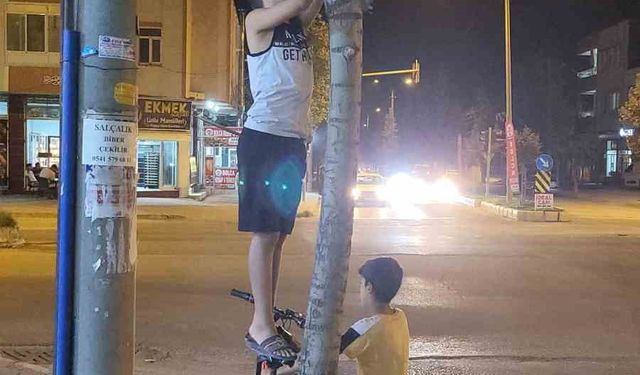 2 çocuk yavru kediyi kurtarmak için seferber oldu