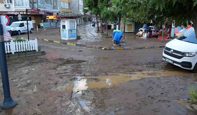 Araklı'da sel suları çekildi: Ortalık çamur deryası