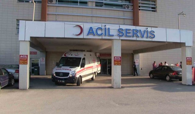 Elma ağacından düşen şahıs  hayatını kaybetti