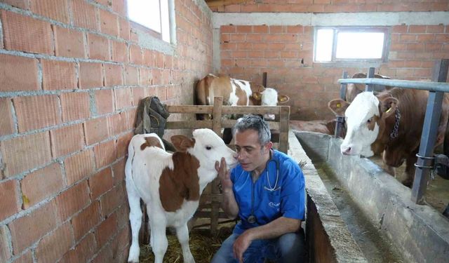 Hayvan sevgisi için hemşireliği bırakıp veteriner hekim oldu