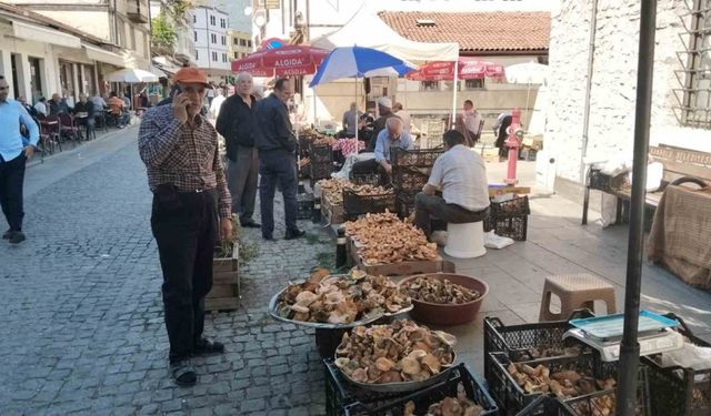 Kasa kasa kanlıca mantarında fiyatlar düştü