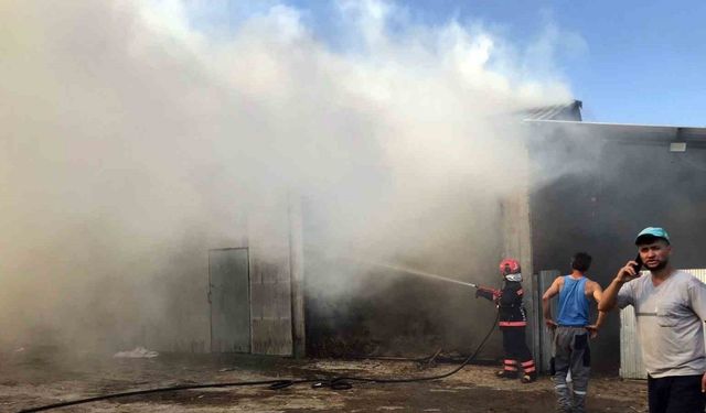 Kaynarca'da 2 ahır ve 2 samanlık alevlere teslim oldu: 1 yaralı