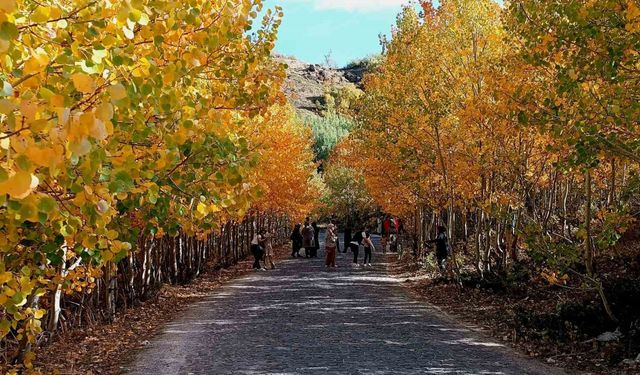 Nemrut Kalderası’nda sonbahar güzelliği