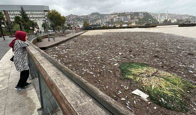 Sağanak ve fırtına sonrası Zonguldak sahilinde çevre kirliliği oluştu